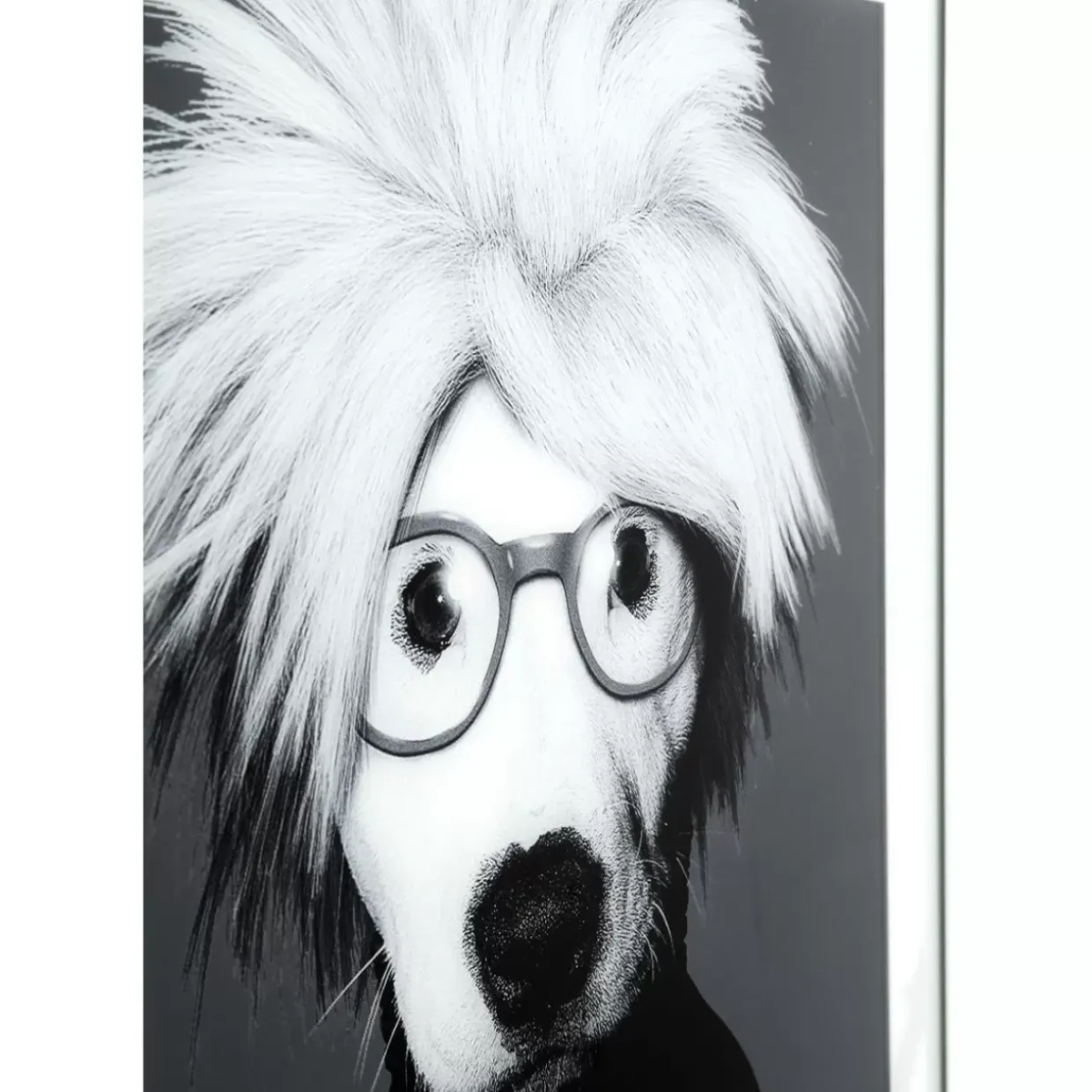 Bild Frame Mirror Artist Dog 60X60