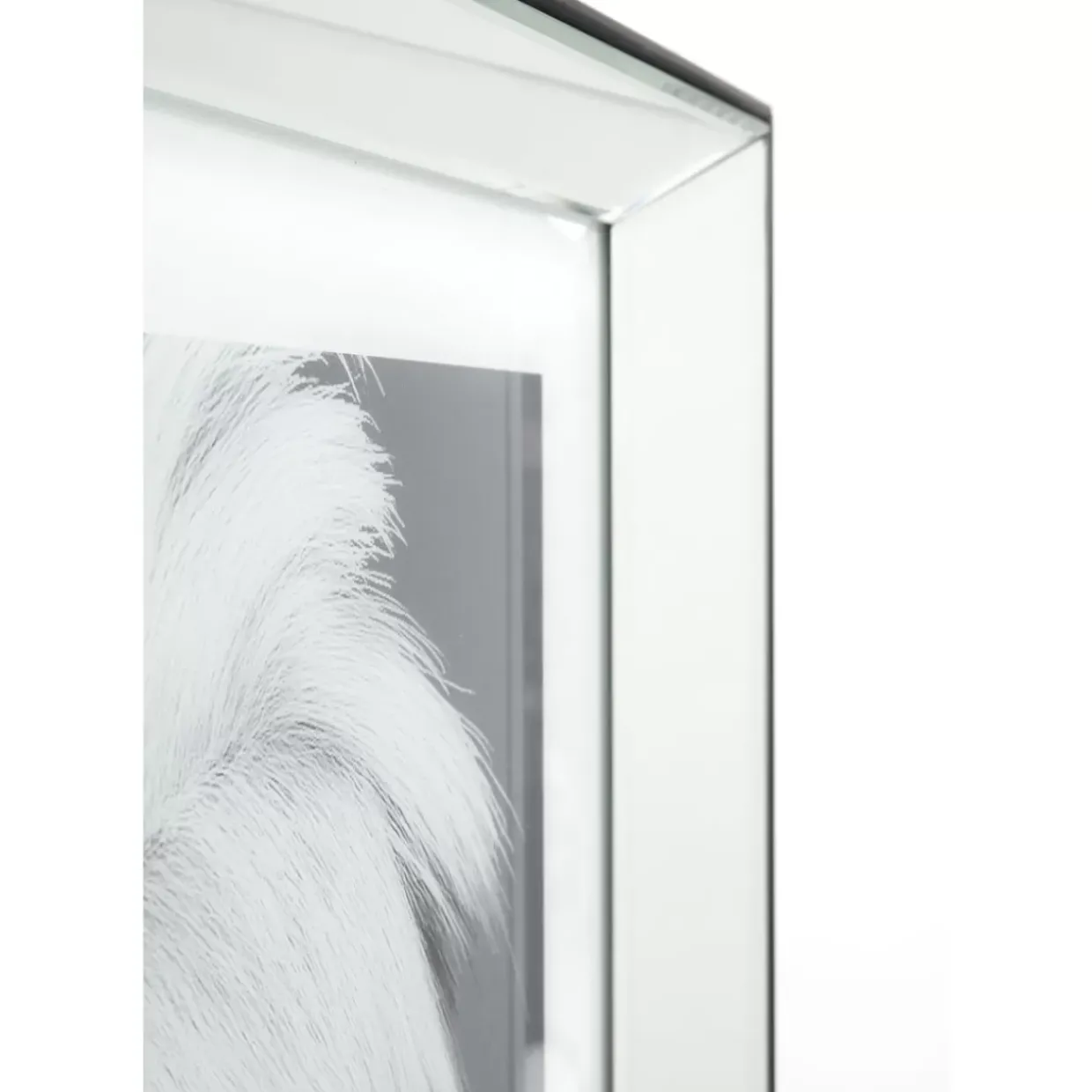 Bild Frame Mirror Artist Dog 60X60