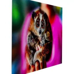 Bild Glas Slow Loris 80X120
