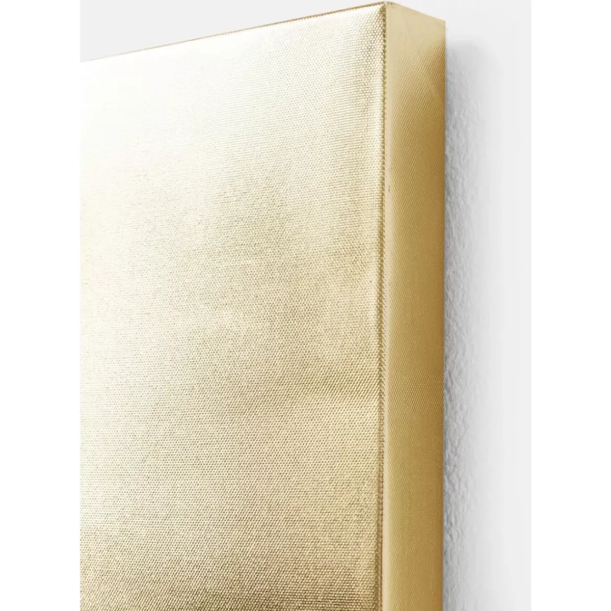 Bild Touched Dog With Pineapple 80X80Cm