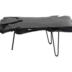 Couchtisch Aspen Schwarz 100X40