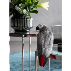 Couchtisch Comb Silber 45