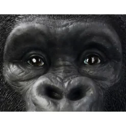 Deko Figur Monkey Gorilla Front Xxl