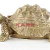 Deko Figur Turtle Gold Klein