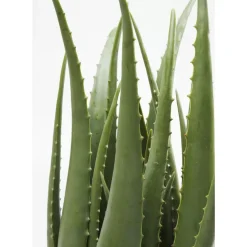 Deko Pflanze Aloe 69Cm