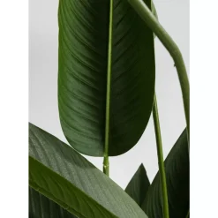 Deko Pflanze Paradise Flowers 190