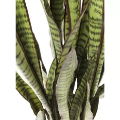 Deko Pflanze Sansewieria 155Cm