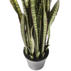 Deko Pflanze Sansewieria 155Cm