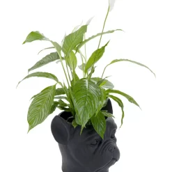 Deko Ubertopf Bulldog Schwarz