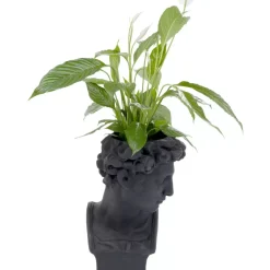 Deko Ubertopf David Schwarz