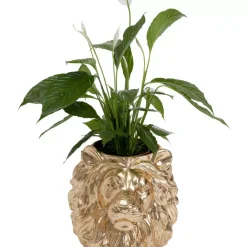 Deko Ubertopf Lion Gold