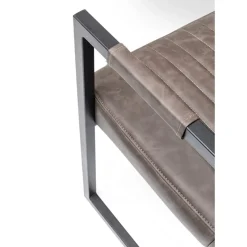 Freischwinger Thamos Braun