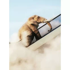 Gerahmtes Bild Elephant In The Sky 150X100Cm