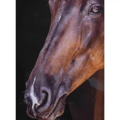 Gerahmtes Bild Wendy 75X105Cm