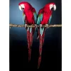 Glasbild Twin Parrot 80X120Cm