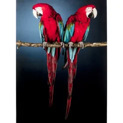 Glasbild Twin Parrot 80X120Cm