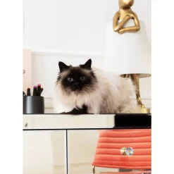 Konsole Luxury Champagne