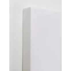 Leinwandbild Headdress Dog 80X80Cm