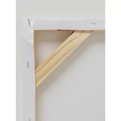 Leinwandbild Headdress Dog 80X80Cm