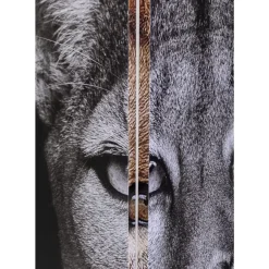 Paravent King Lion Vs Cat Girl 120X180Cm