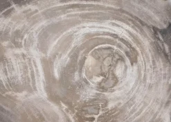 Platte Drakenhart Versteinertes Holz