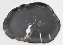 Platte Midnight Versteinertes Holz