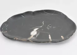 Platte Midnight Versteinertes Holz