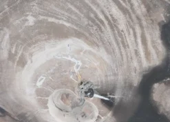 Platte Nachtwoud Versteinertes Holz