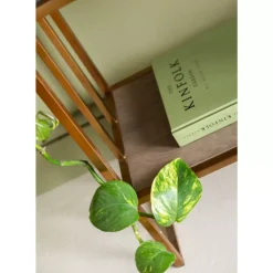 Regal Cesaro 90X170Cm