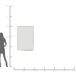 Spiegel Curve Rectangular Brass 80X120Cm