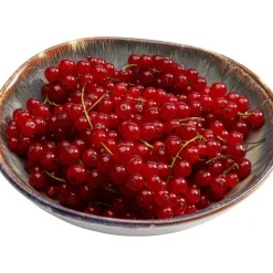 Teller Tief Laguna Blau O20Cm