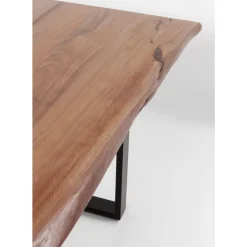 Tisch Harmony Dunkel Silber 200X100