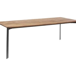 Tisch Phoenix 220X100Cm