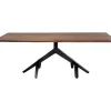 Tisch Roots Dark 220X100Cm