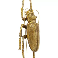 Wandschmuck Longicorn Beetle Gold