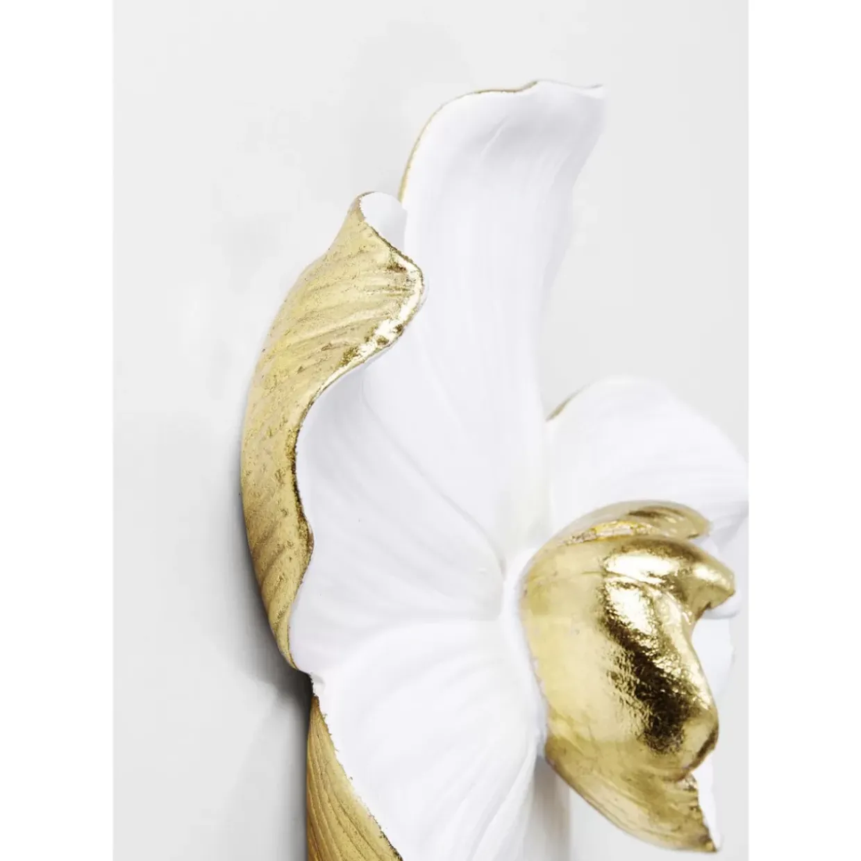 Wandschmuck Orchid Weis 25Cm