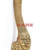 Wandschmuck Ostrich Gold